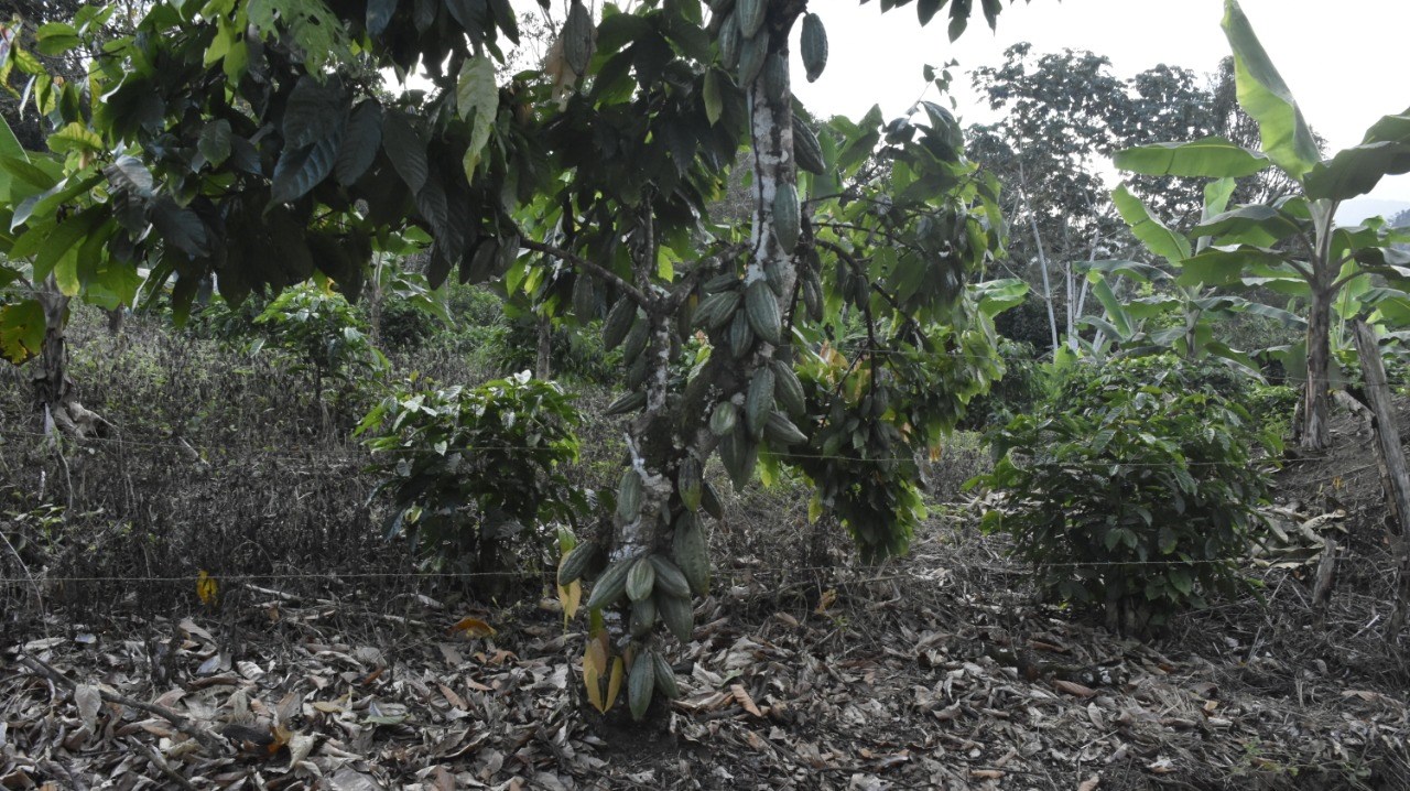 Camacã: Prefeitura recupera estrada vicinal depois de 40 anos 
